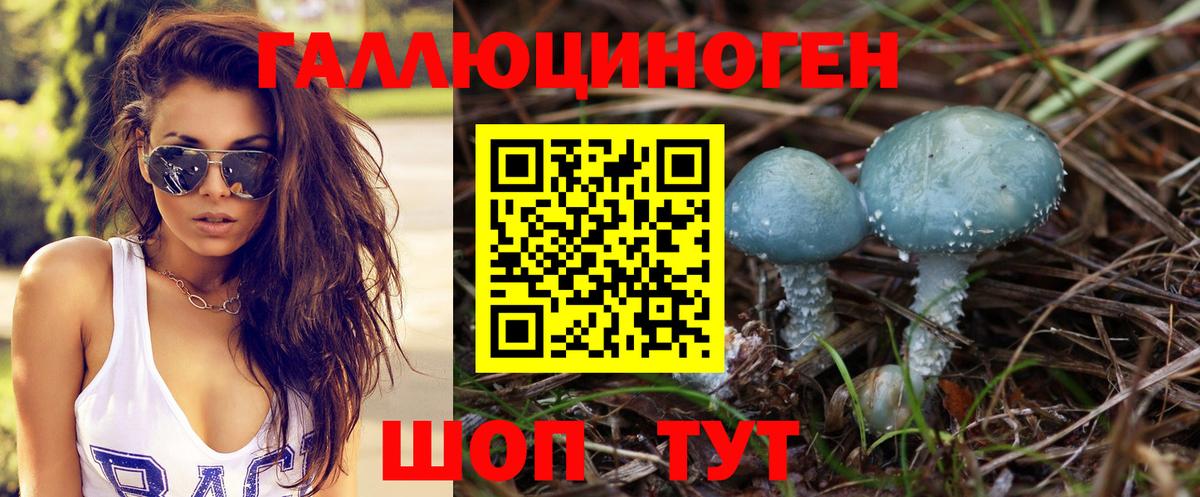 Псилоцибиновые грибы мицелий Котлас