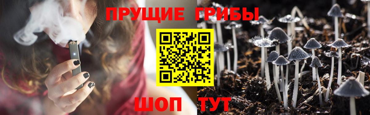 Псилоцибиновые грибы Psilocybine cubensis  Галлюциногенные грибы GOLDEN TEACHER  Котлас  Вход с VPN 